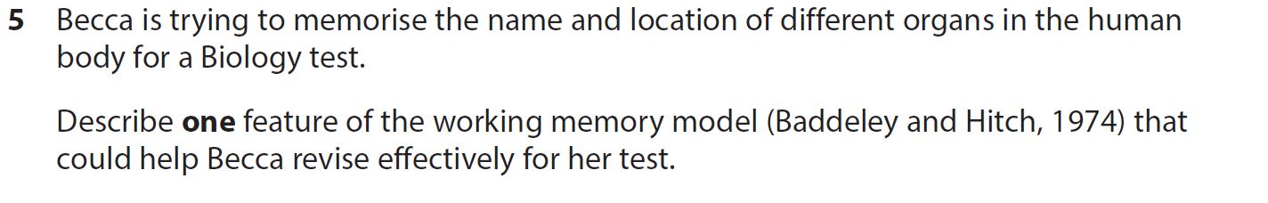 Becca-is-trying-to-memorise-the-name-and-location-of-different-organs-in-the-human-body-for-a-Biology-test-AQA-A-Level Psychology-Question 5-2020-Paper 1.png