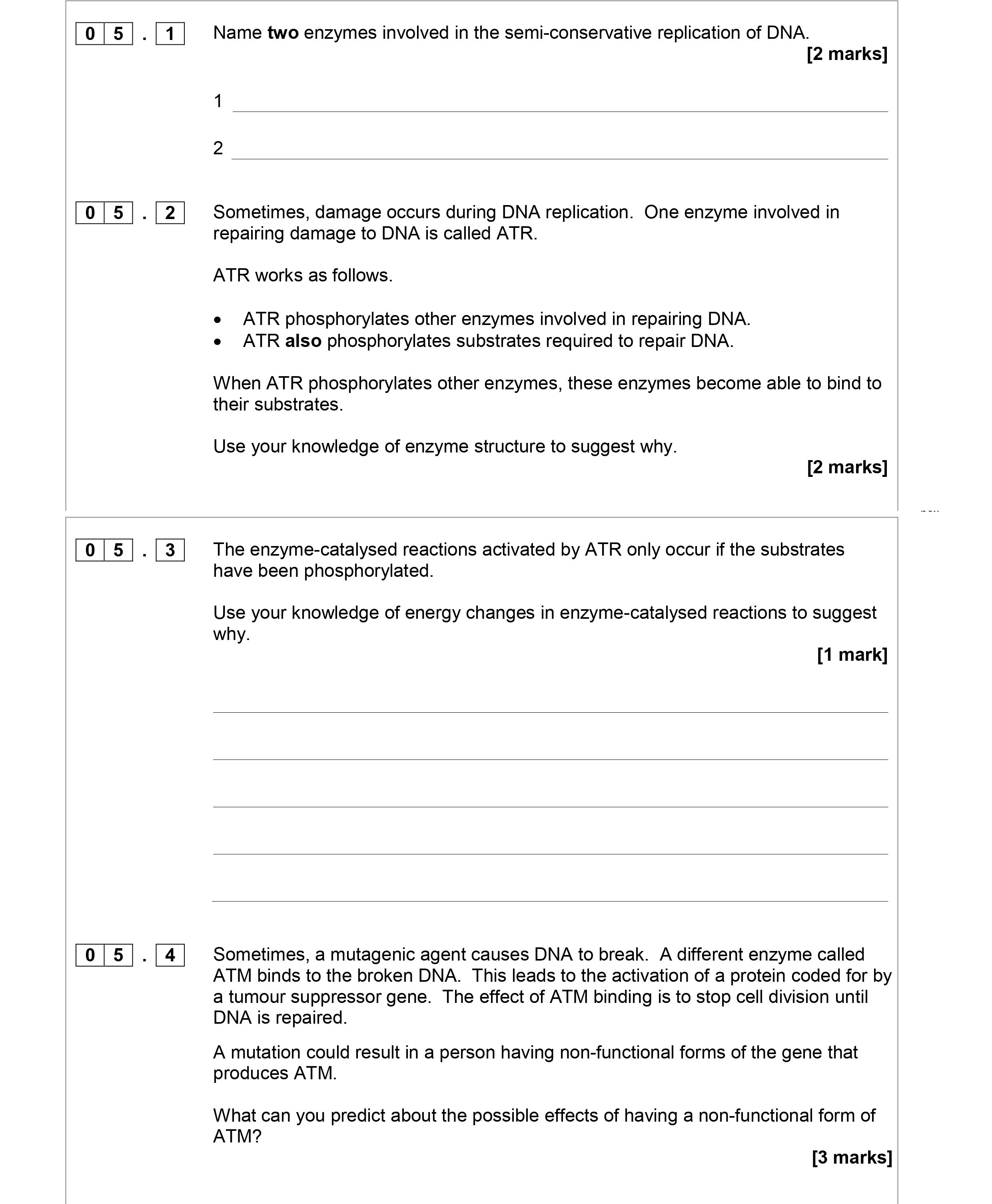 Name-two-enzymes-involved-in-the-semi-conservative-replication-of-DNA-AQA-A-Level Biology-Question 5-2017-Paper 3.png