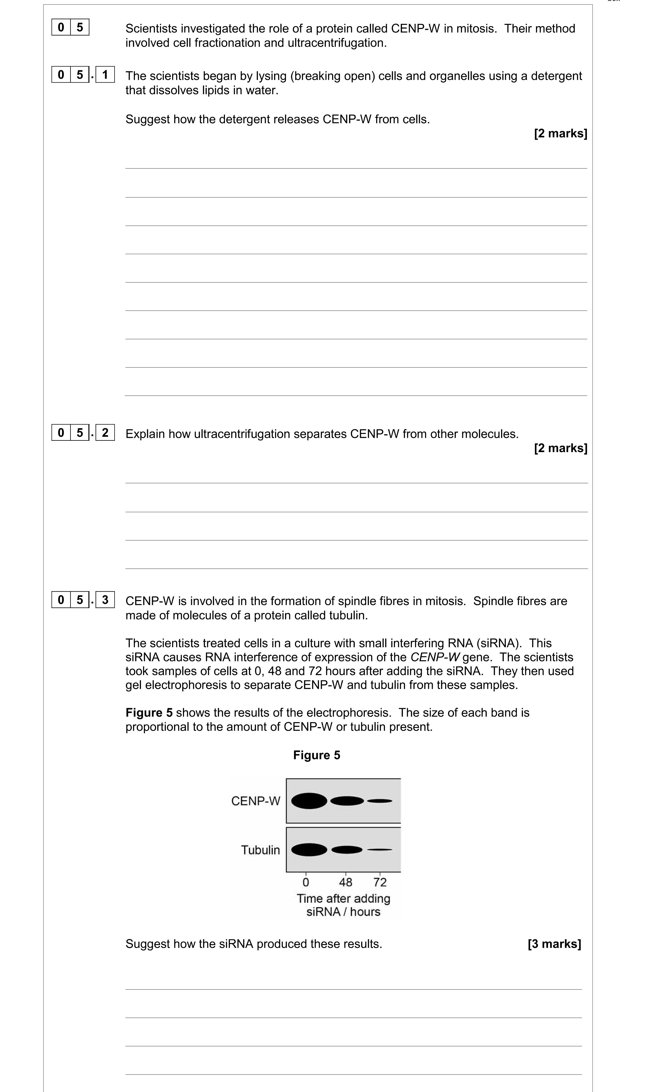 Scientists-investigated-the-role-of-a-protein-called-CENP-W-in-mitosis-AQA-A-Level Biology-Question 5-2018-Paper 3.png