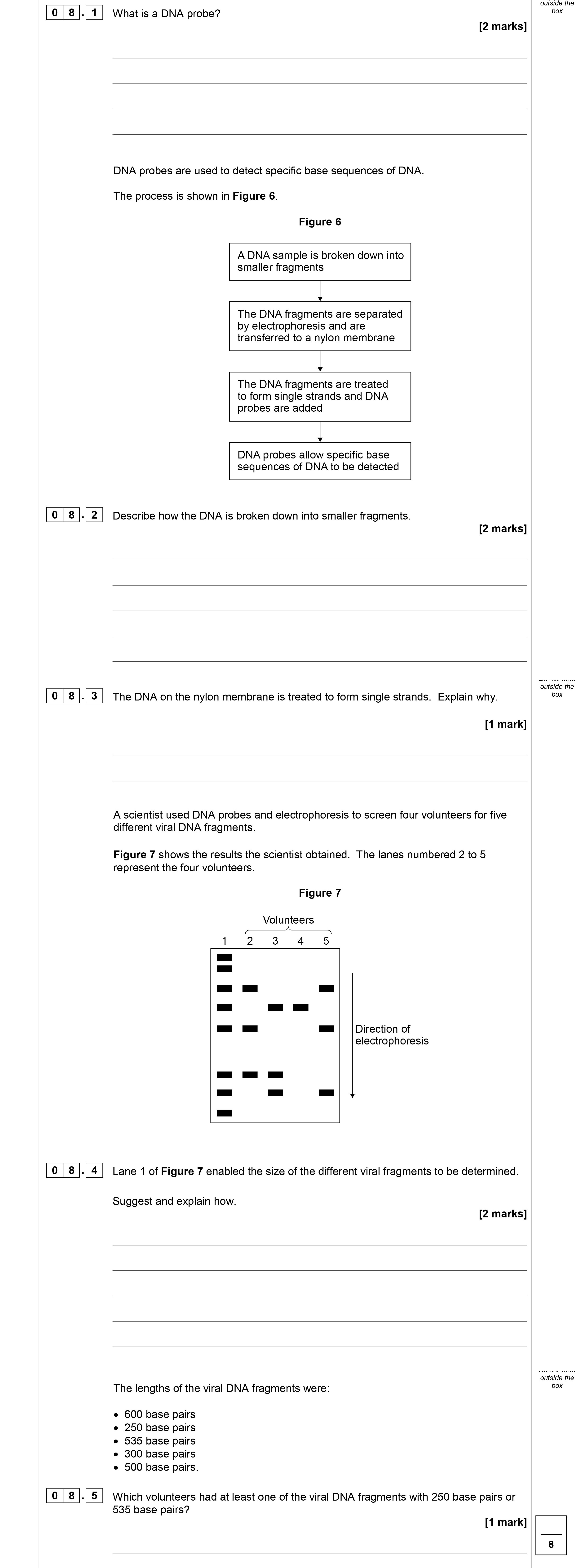 What-is-a-DNA-probe?--DNA-probes-are-used-to-detect-specific-base-sequences-of-DNA-AQA-A-Level Biology-Question 8-2019-Paper 2.png