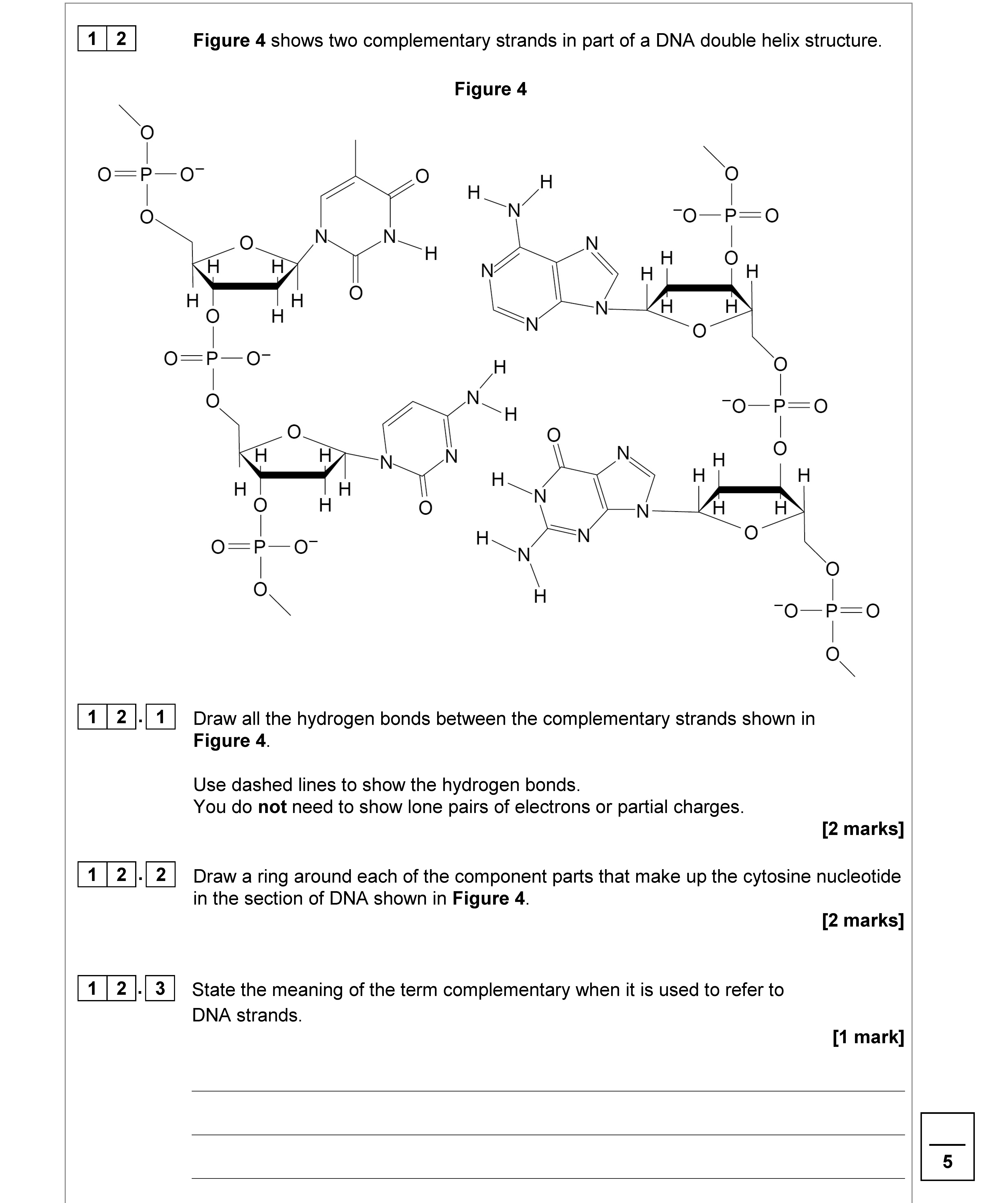 Figure-4-shows-two-complementary-strands-in-part-of-a-DNA-double-helix-structure-AQA-A-Level Chemistry-Question 12-2019-Paper 2.png